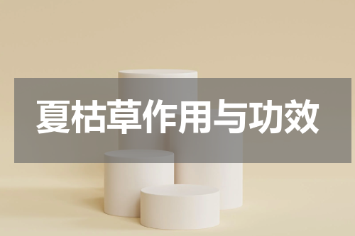 夏枯草作用与功效