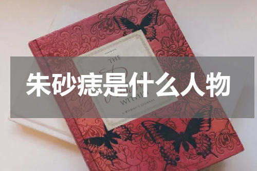 朱砂痣是什么人物