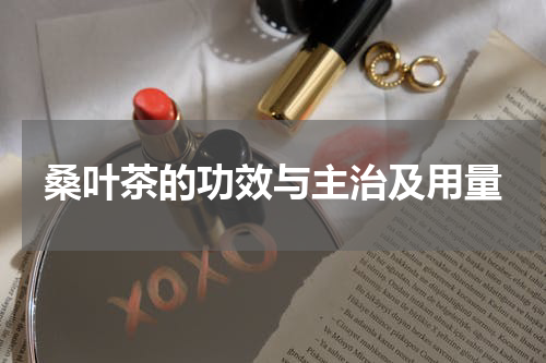 桑叶茶的功效与主治及用量