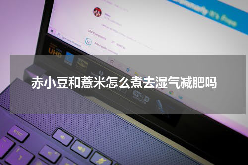 赤小豆和薏米怎么煮去湿气减肥吗