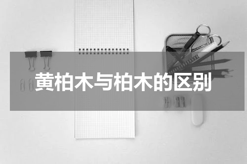 黄柏木与柏木的区别