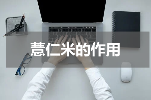 薏仁米的作用