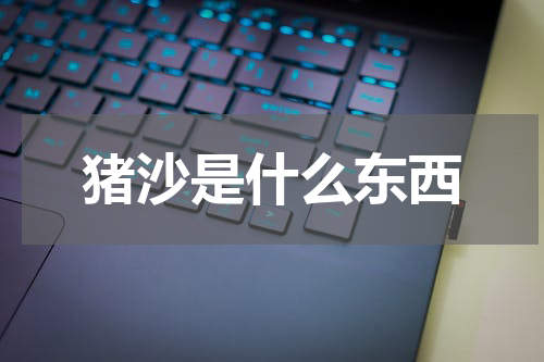 猪沙是什么东西