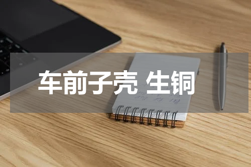 车前子壳 生铜