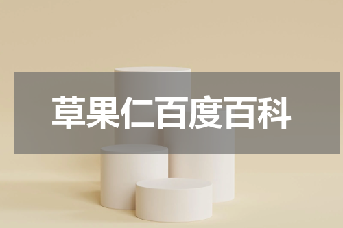 草果仁百度百科