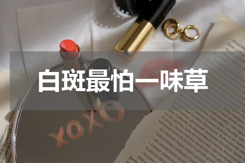 白斑最怕一味草