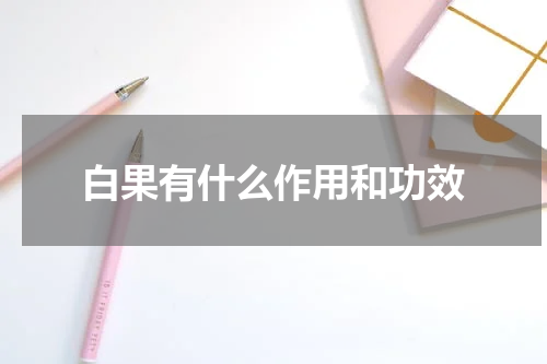 白果有什么作用和功效
