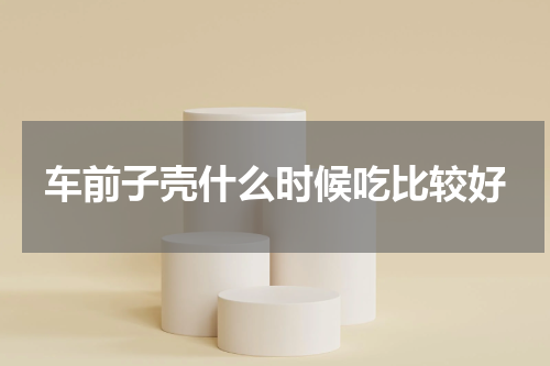 车前子壳什么时候吃比较好