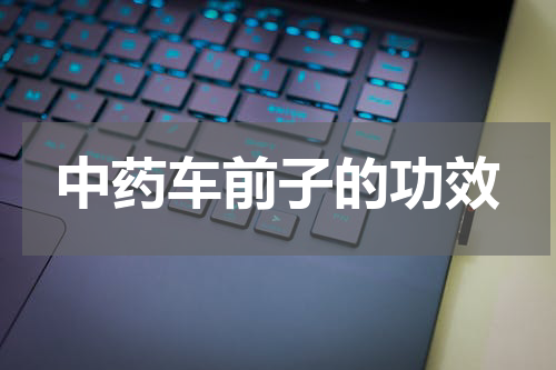 中药车前子的功效
