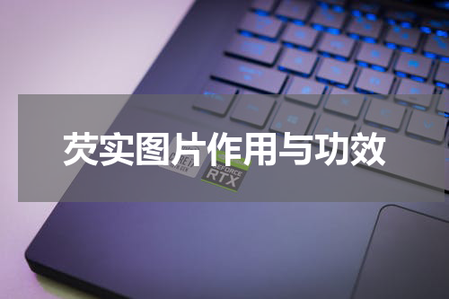 芡实图片作用与功效