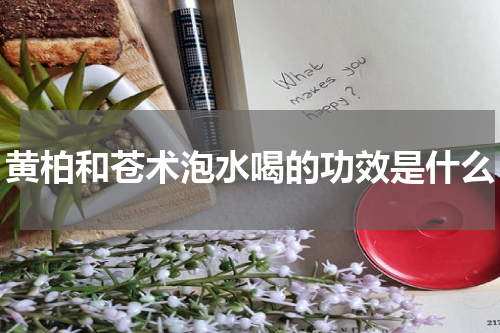 黄柏和苍术泡水喝的功效是什么