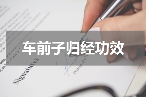 车前子归经功效