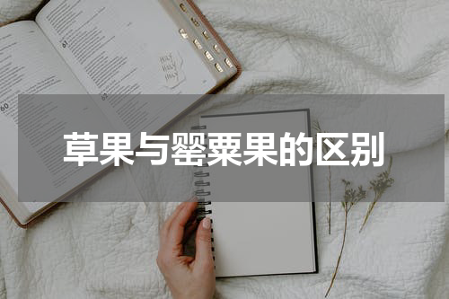 草果与罂粟果的区别