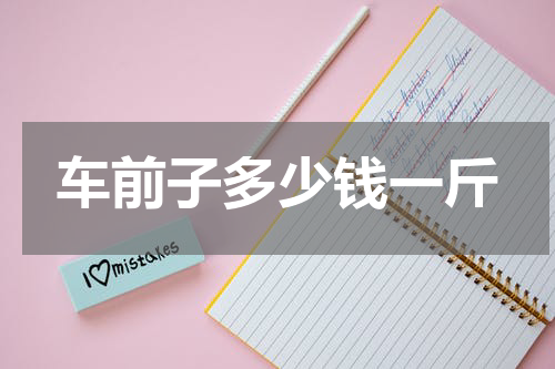 车前子多少钱一斤