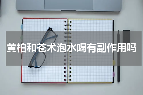黄柏和苍术泡水喝有副作用吗