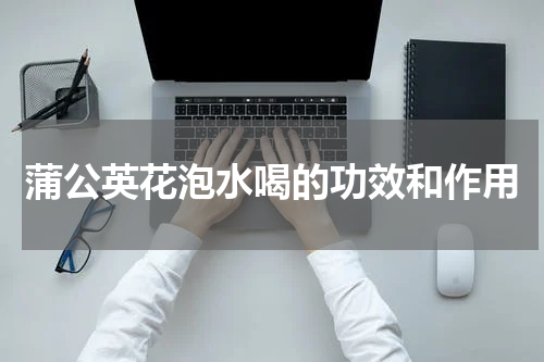 蒲公英花泡水喝的功效和作用