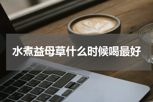水煮益母草什么时候喝最好
