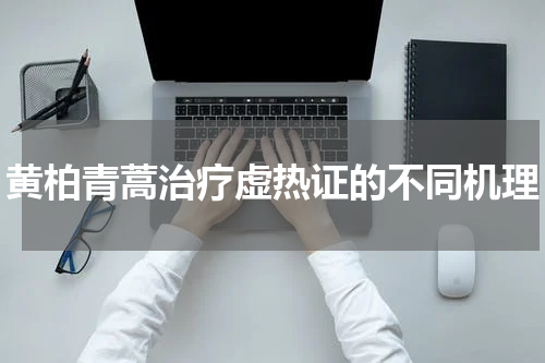 黄柏青蒿治疗虚热证的不同机理