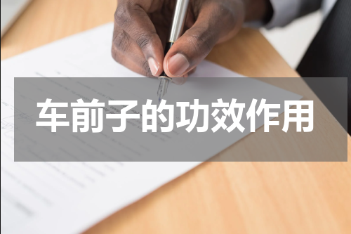 车前子的功效作用