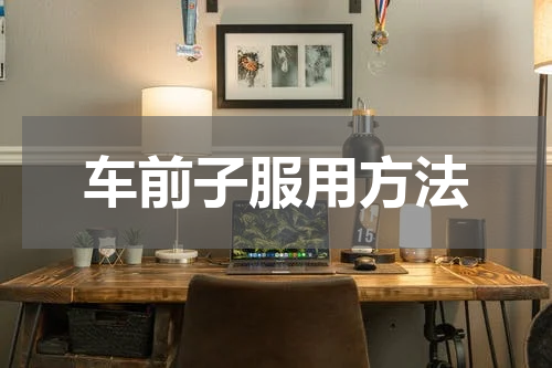 车前子服用方法