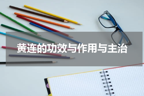 黄连的功效与作用与主治