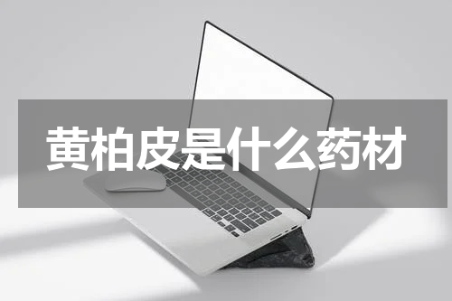 黄柏皮是什么药材