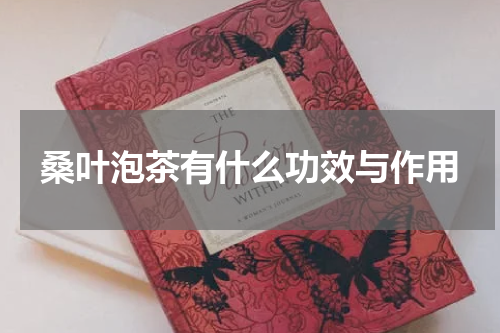 桑叶泡茶有什么功效与作用