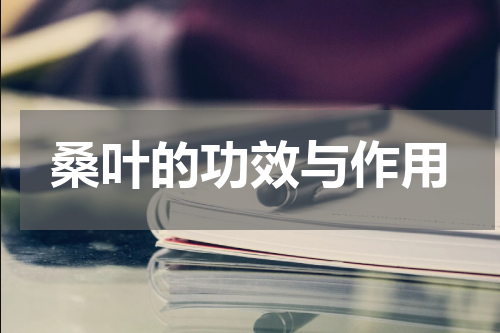 桑叶的功效与作用