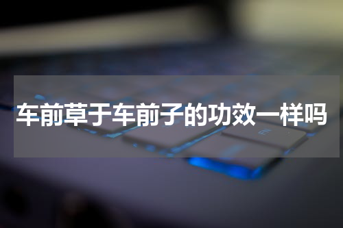 车前草于车前子的功效一样吗