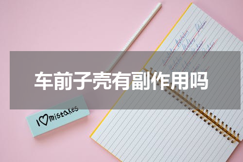 车前子壳有副作用吗