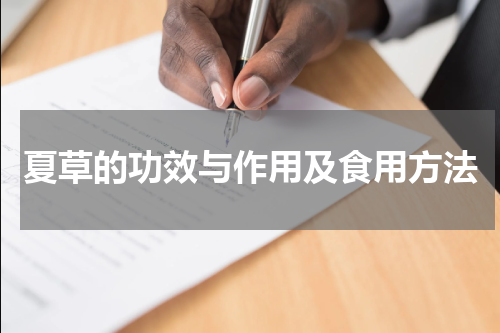 夏草的功效与作用及食用方法
