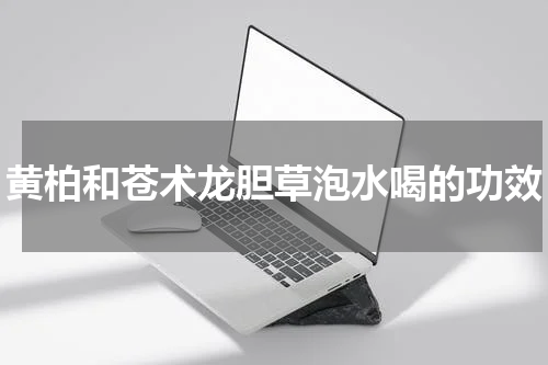 黄柏和苍术龙胆草泡水喝的功效
