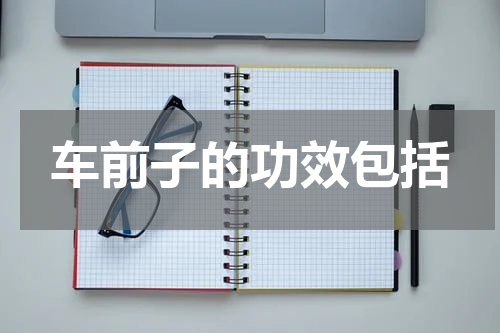 车前子的功效包括
