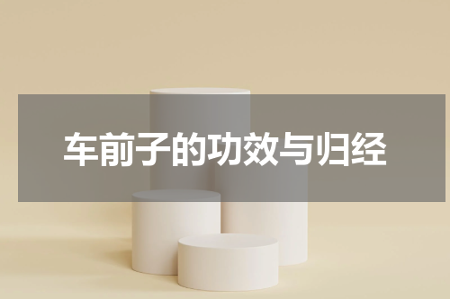 车前子的功效与归经