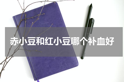 赤小豆和红小豆哪个补血好