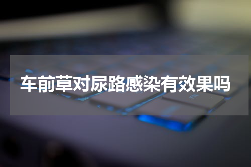 车前草对尿路感染有效果吗