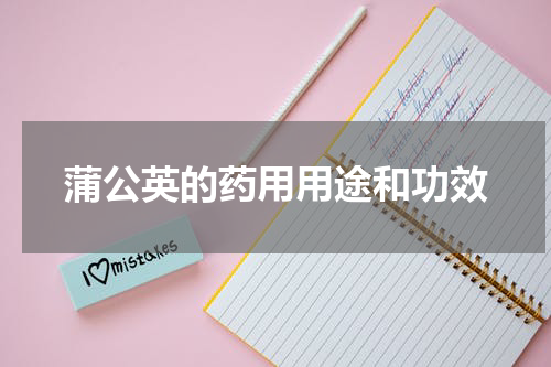 蒲公英的药用用途和功效