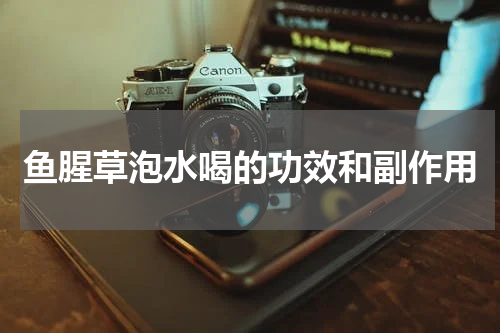 鱼腥草泡水喝的功效和副作用