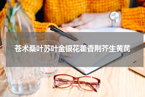 苍术桑叶苏叶金银花藿香荆芥生黄芪