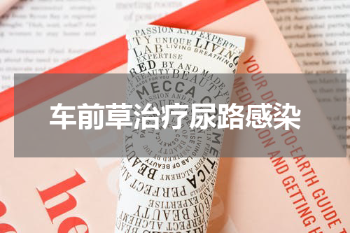 车前草治疗尿路感染