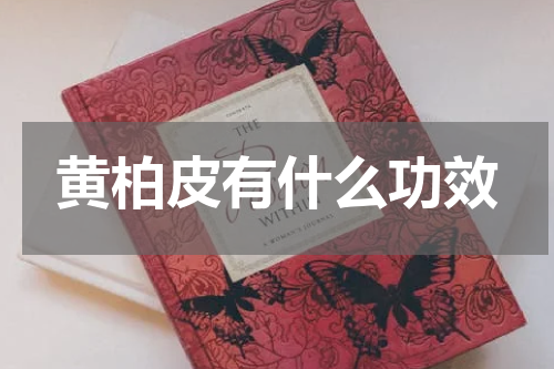 黄柏皮有什么功效