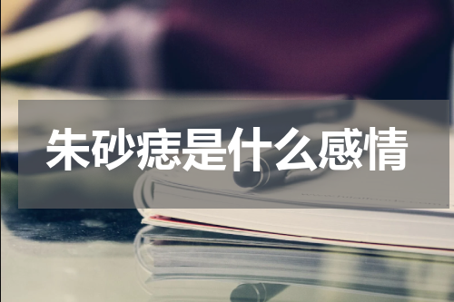朱砂痣是什么感情