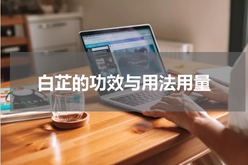 白芷的功效与用法用量