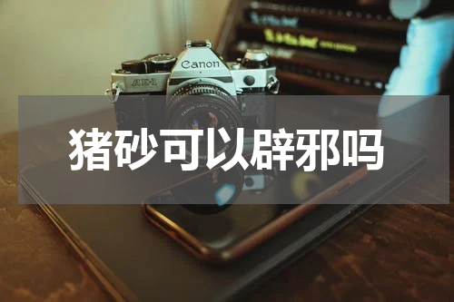 猪砂可以辟邪吗