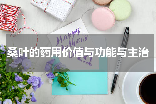 桑叶的药用价值与功能与主治