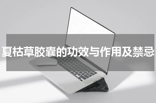 夏枯草胶囊的功效与作用及禁忌
