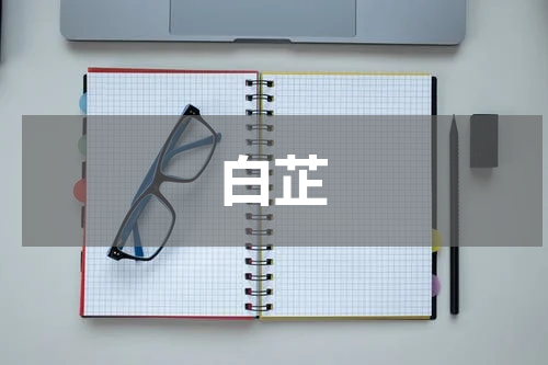 白芷