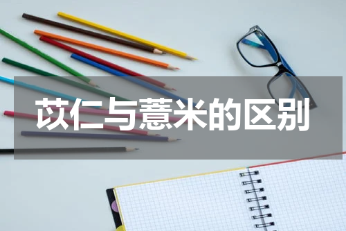 苡仁与薏米的区别