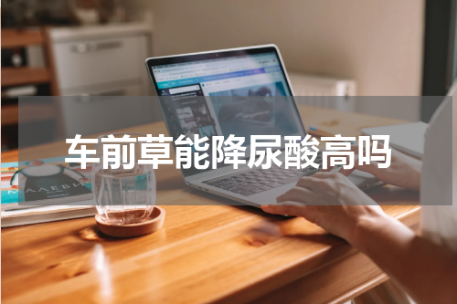 车前草能降尿酸高吗