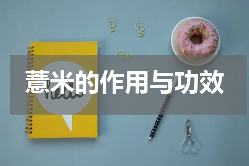 薏米的作用与功效